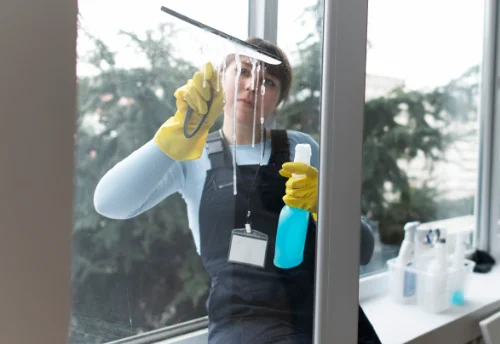 Nettoyage de vitres intérieures et extérieures à Nouvoitou